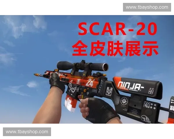 CSGO磨损系统解析与皮肤价值变化深度分析 CSGO磨损系统解析与皮肤价值变化深度分析