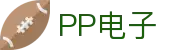 PP电子(中国)集团官网